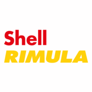 Shell Rimula